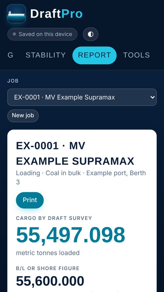 Survey report screen