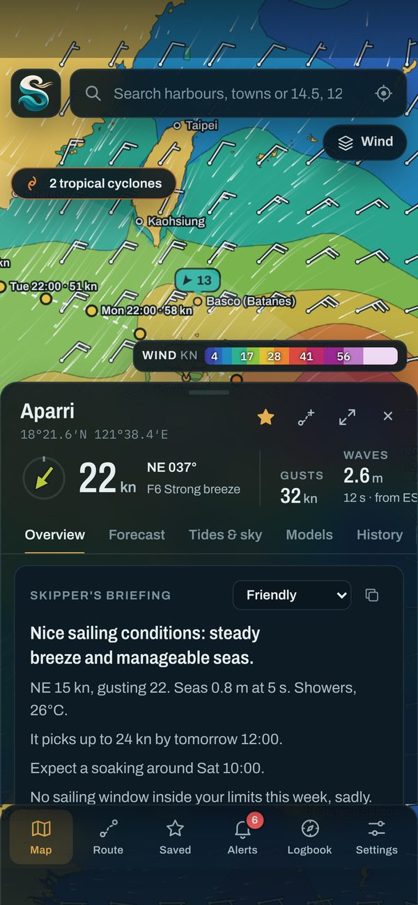 A spot forecast, hour by hour